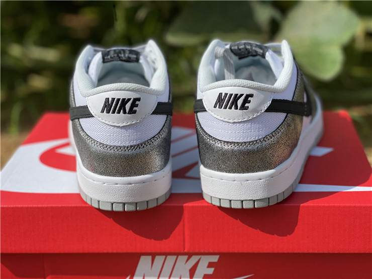 from Nike SB Dunk Low DO5882-001