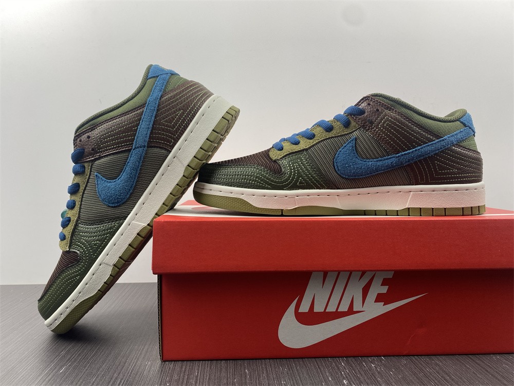 from Nike SB Dunk Low DR0159-200