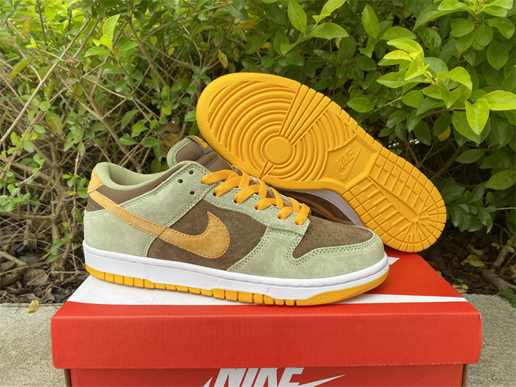 from Nike SB Dunk Low SE Dusty Olive DH5360-300