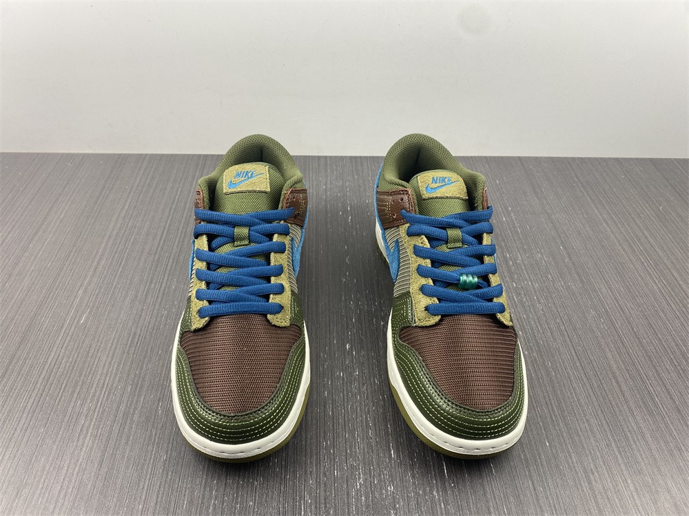 from Nike SB Dunk Low DR0159-200