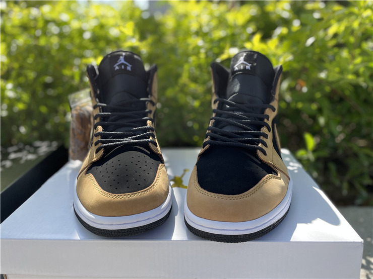 Air Jordan 1 Mid SE DB5453-700