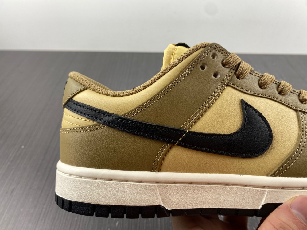 from SB Dunk Low Dark Driftwood DD1503-200