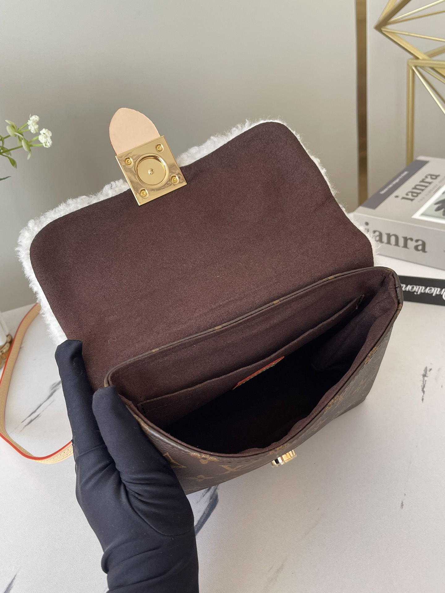 L*ouis V*uitton m20973 Top Bag