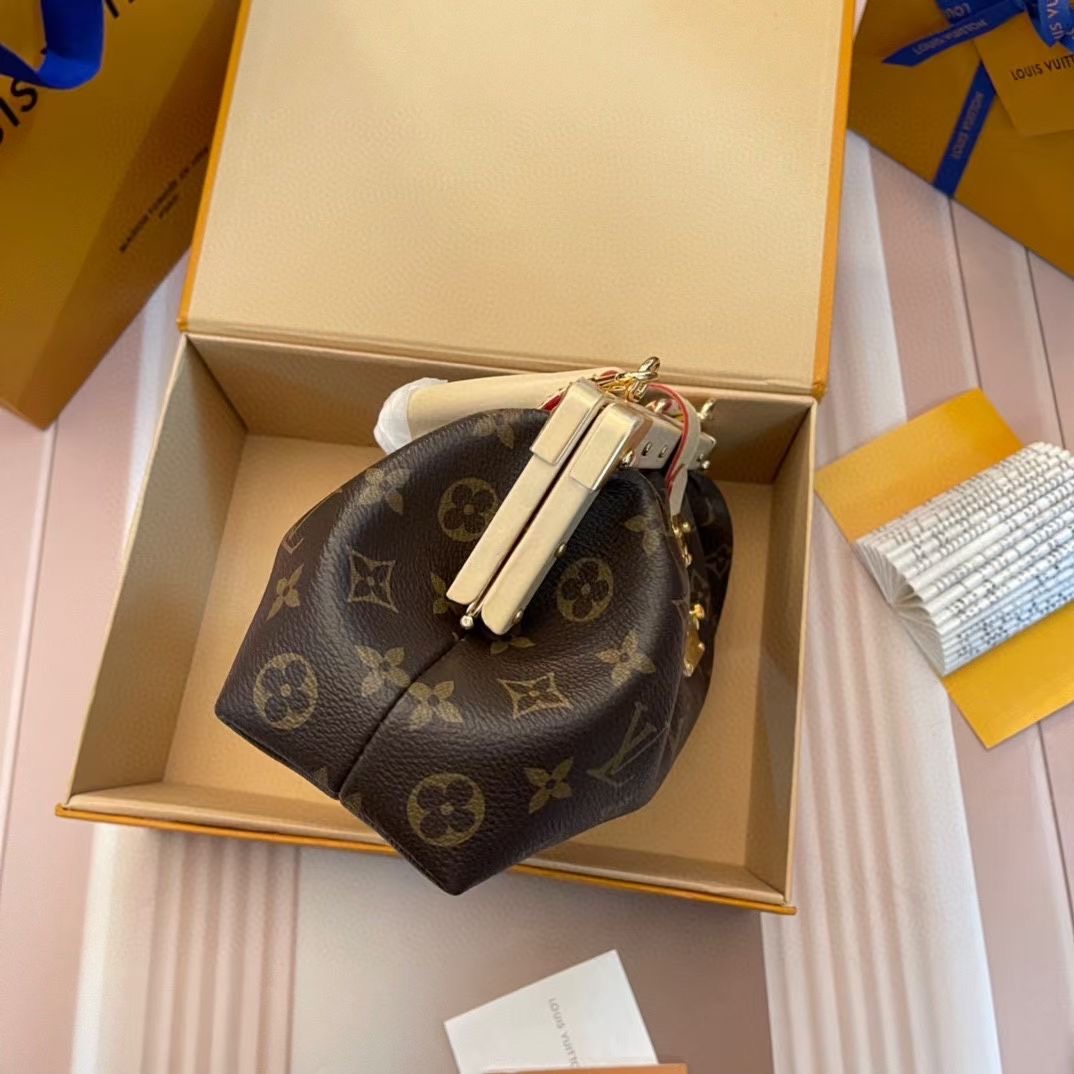 L*ouis V*uitton Top Bag