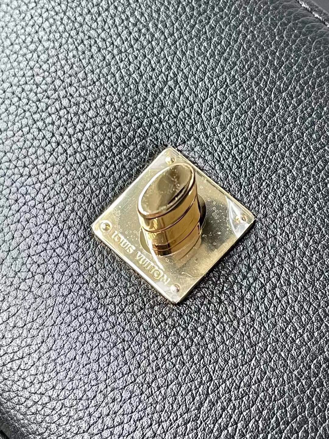 L*ouis V*uitton Top Bag