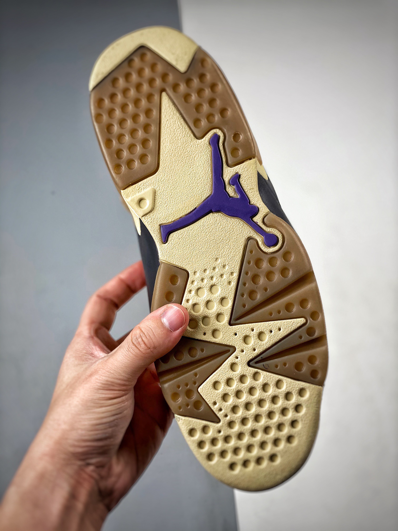 Nike Air Jordan 6 aj6