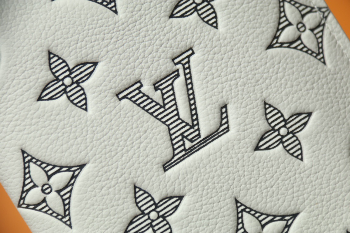 L*ouis V*uitton Top Bag