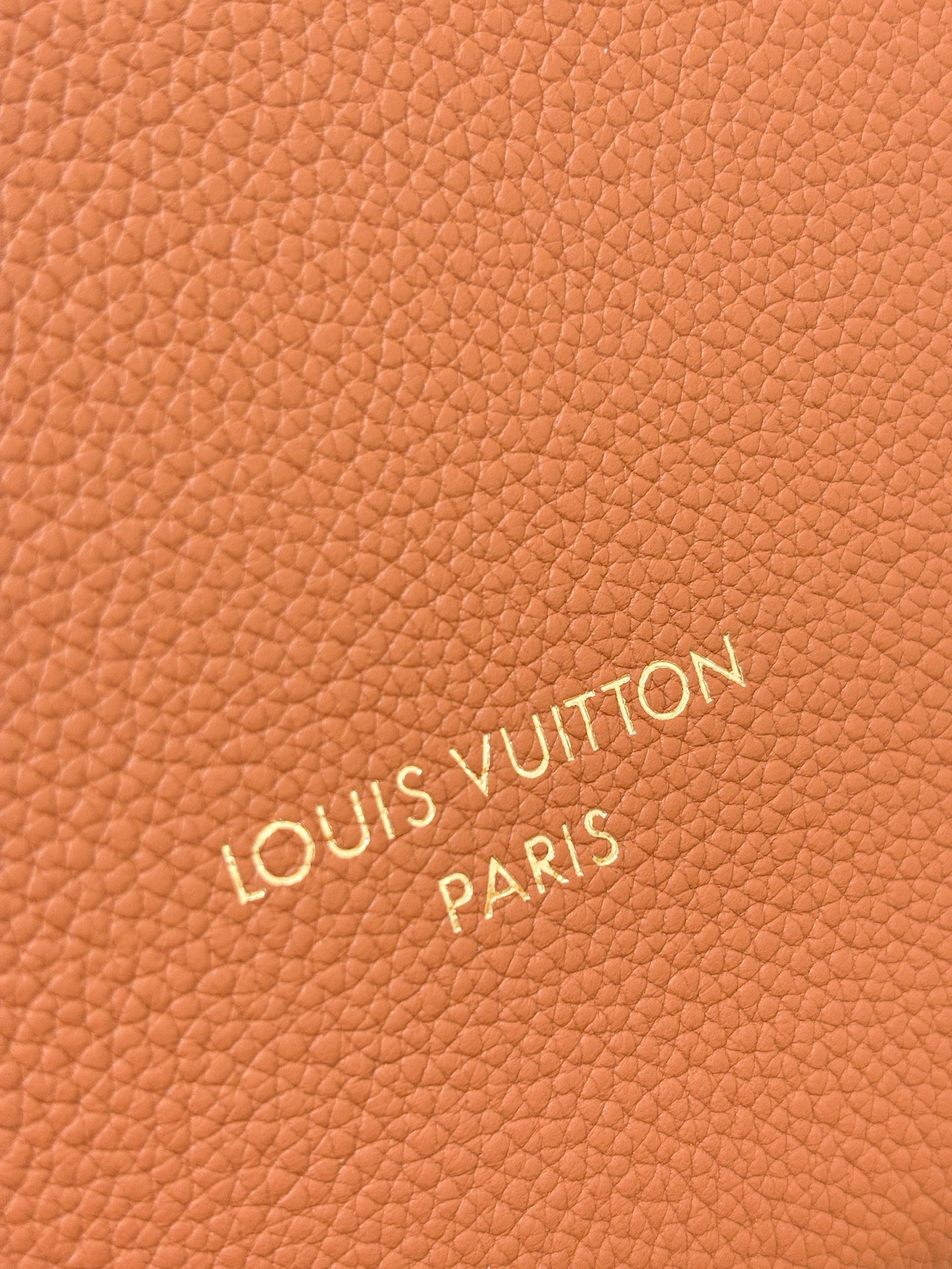 L*ouis V*uitton Top Bag