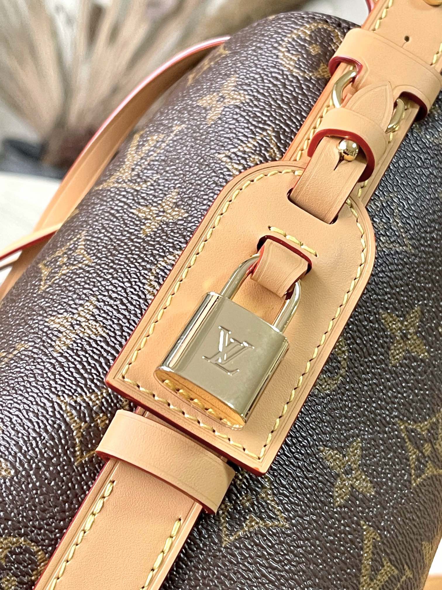 L*ouis V*uitton Top Bag